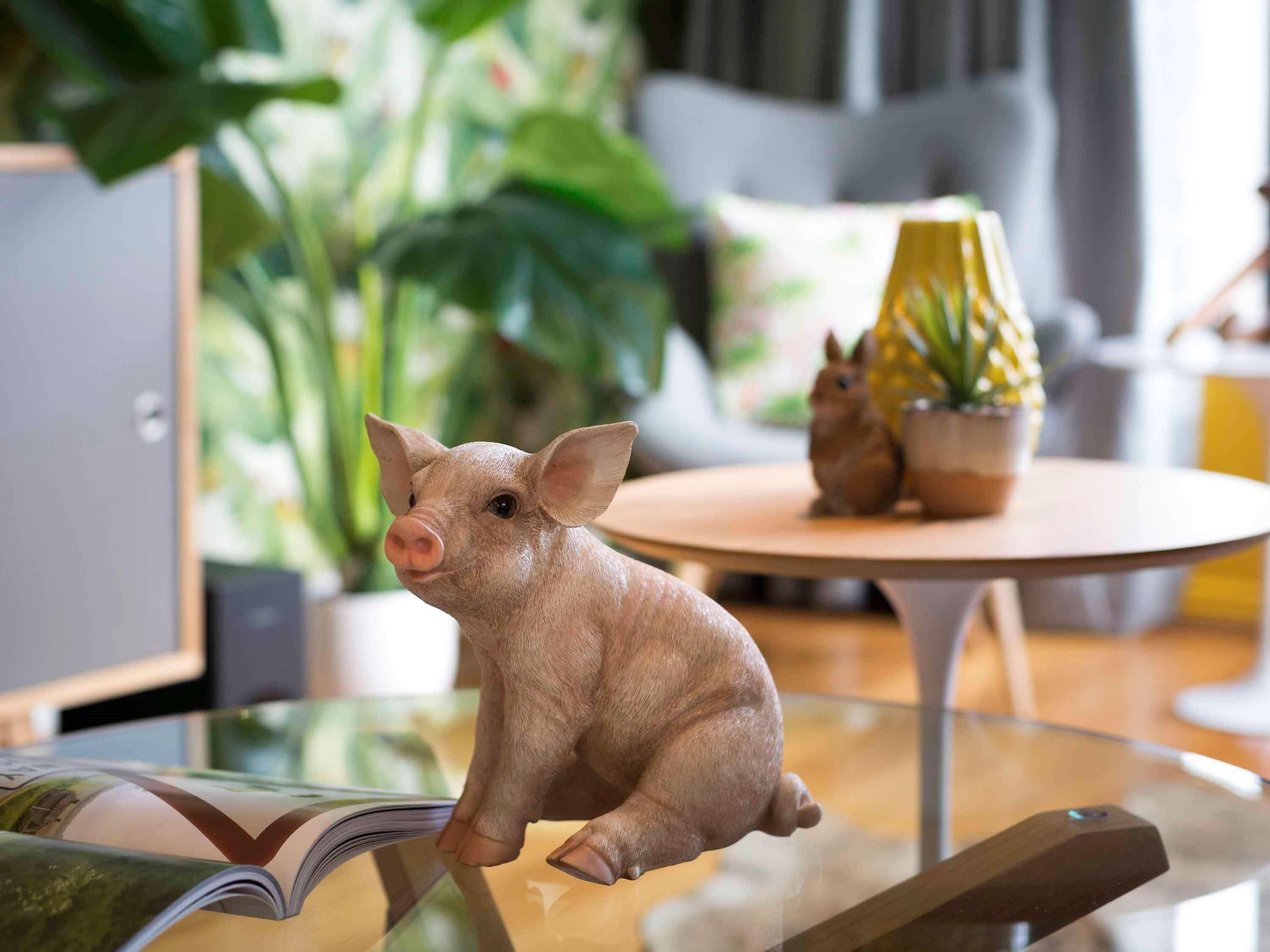 Hotel Pullman Sydney Hyde Park Esterno foto A piglet